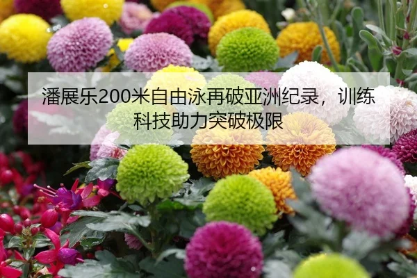 潘展乐200米自由泳再破亚洲纪录，训练科技助力突破极限