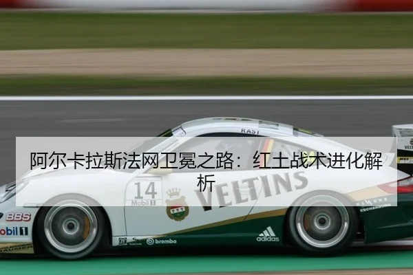 a-er-ka-la-si-fa-wang-wei-mian-zhi-lu-hong-tu-zhan-shu-jin-hua-jie-xi-2-645.jpg
